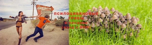 бошки Верея
