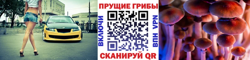 Псилоцибиновые грибы мицелий Старый Оскол